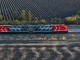 GMXT amplía su flota con 120 locomotoras para atender el crecimiento económico del país
