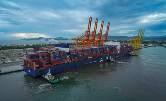 IT-ANÁLISIS: Puerto de Manzanillo rompe récord anual con más de 343 mil TEUs movilizados