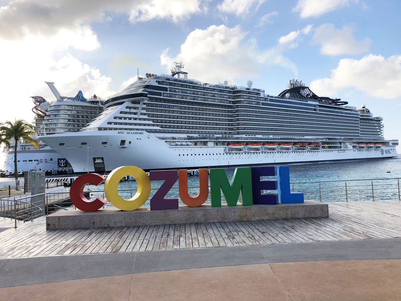 Ambientalismo bajo sospecha en la oposición a muelles de cruceros