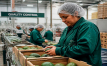 Cadena de frío, clave para las exportaciones alimentarias de México