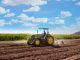 Agricultura mexicana: 6.1 millones de trabajadores impulsan al país