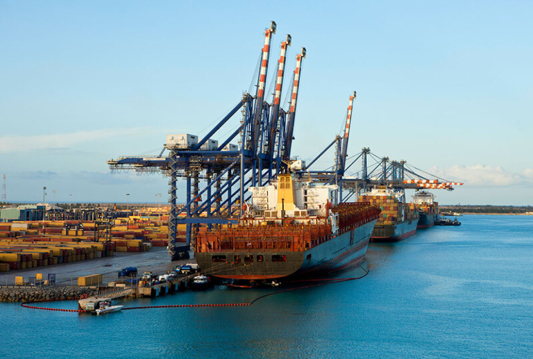 Aduanas marítimas y fronterizas caen hasta 14.4% en marzo