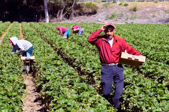 Crece 4.8% actividad primaria; aumenta desafío para coordinar operaciones