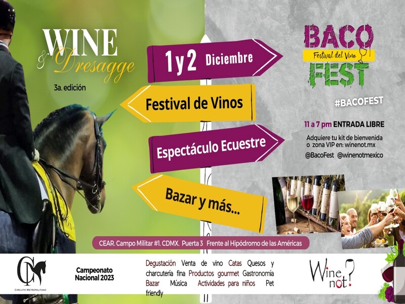 Experiencia única: “Caballos y Vinos”, elegancia ecuestre y delicias vinícolas