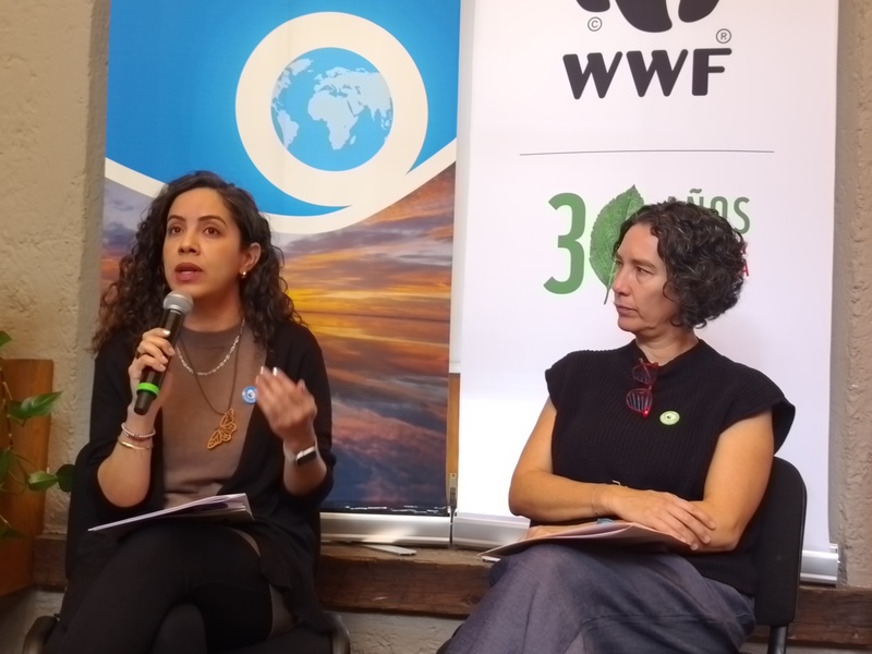 WWF plantea reorientar políticas de conservación en México